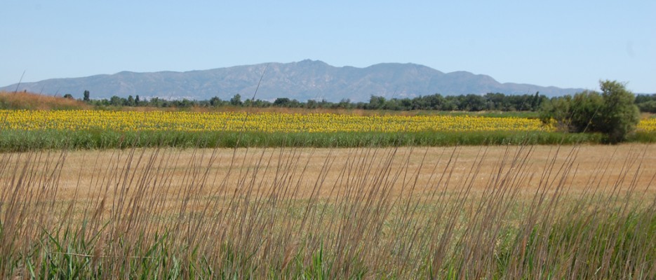 Les closes: referències literàries d'un municipi.